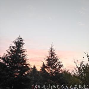 男生蹭一蹭女生突然一跳一跳高清视频
