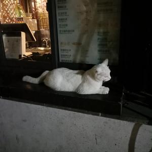 男生蹭一蹭女生突然一跳一跳高清视频
